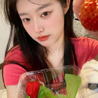 英雄训练师果盘版下载